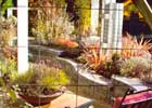 Show Gardens slide 3 thumbnail