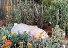 Show Gardens slide 4 thumbnail