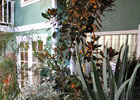 Show Gardens slide 5 thumbnail